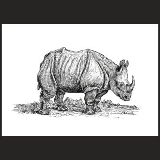 inktober 2024 rhinoceros